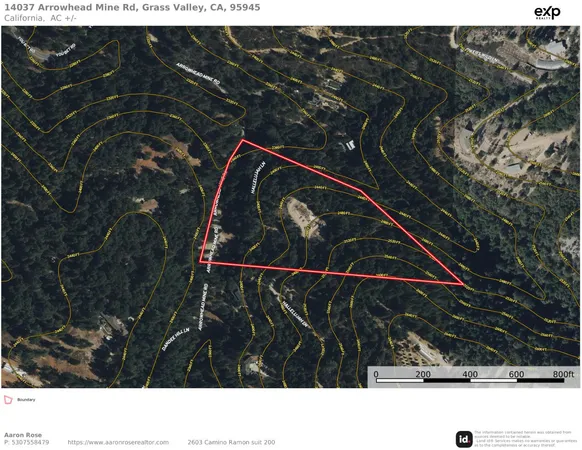 a black and white photo of a tree