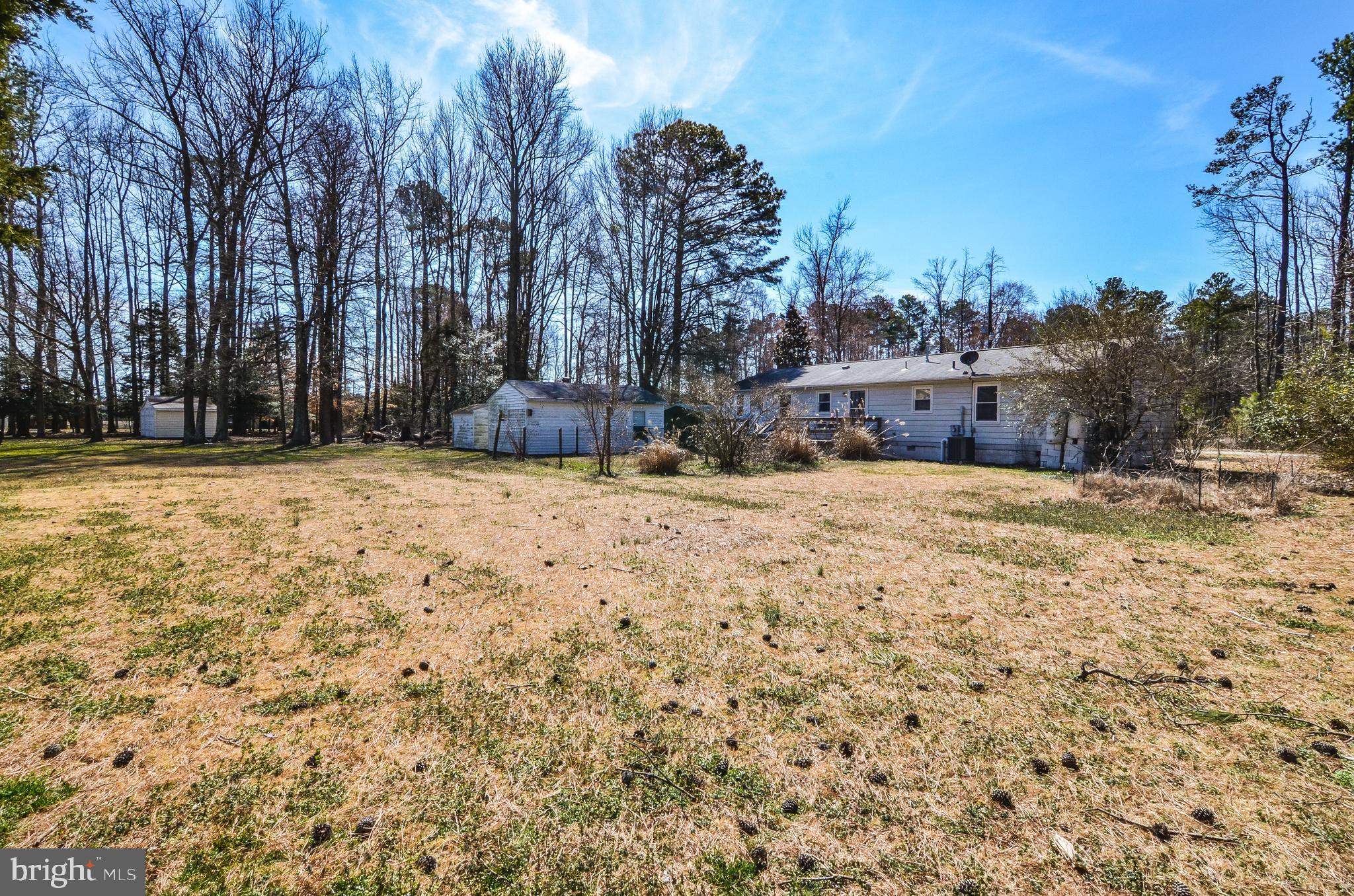 441 Blackwell Road Colonial Beach, VA 22443 - Photo 22 of 22 Back Yard