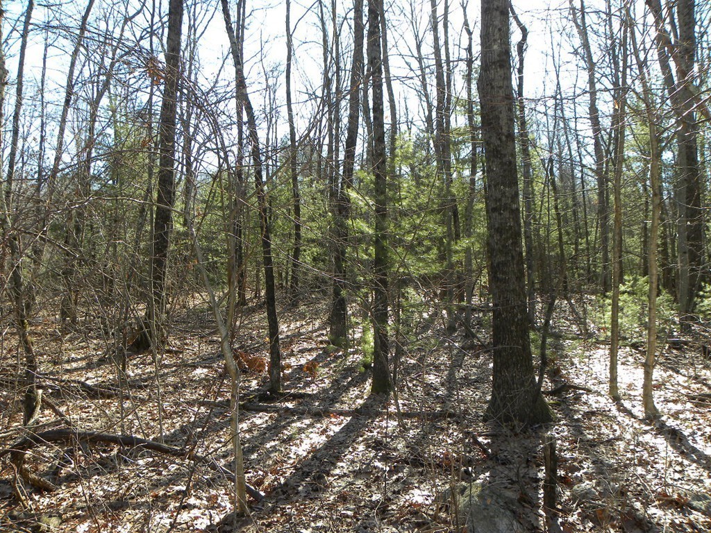 Lot D Gould Road Charlton, MA 01507 - Photo 7 of 8 Gallery Image 7