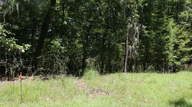 $16,000 | 28411 County Road 374 East, Broaddus, TX 75929