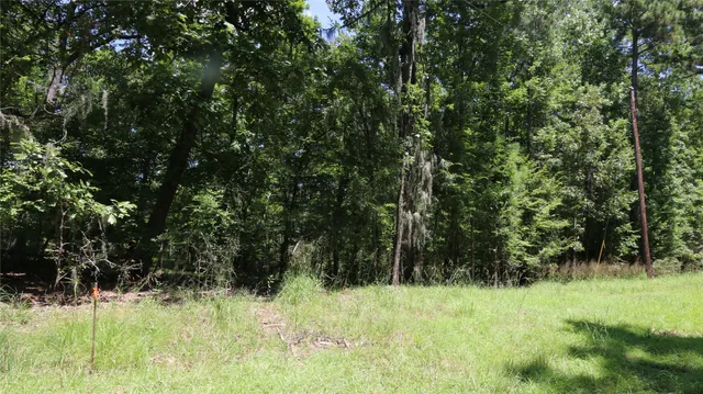 $16,000 | 28411 County Road 374 East, Broaddus, TX 75929