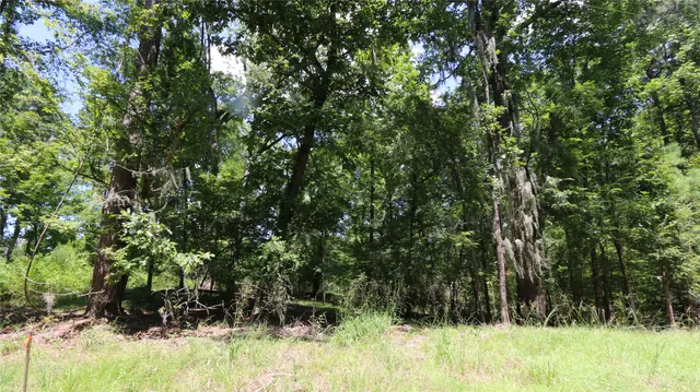 $16,000 | 28411 County Road 374 East, Broaddus, TX 75929