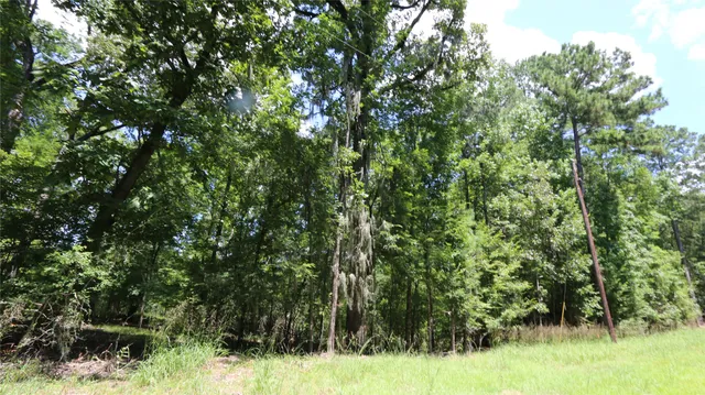 $16,000 | 28411 County Road 374 East, Broaddus, TX 75929