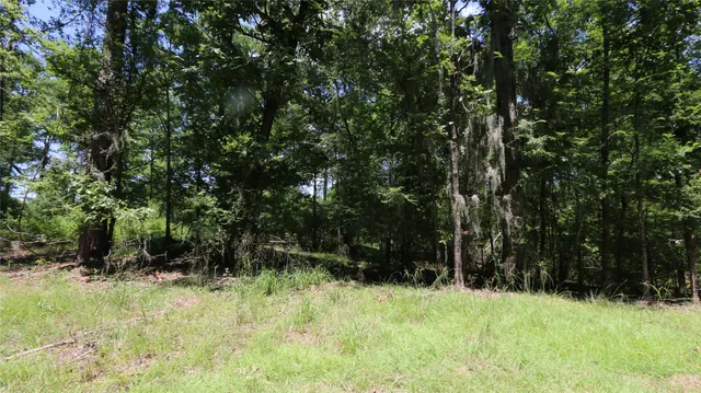 $16,000 | 28411 County Road 374 East, Broaddus, TX 75929