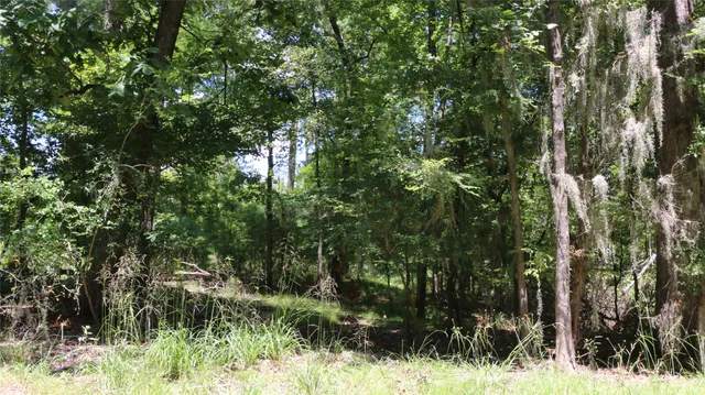 $16,000 | 28411 County Road 374 East, Broaddus, TX 75929