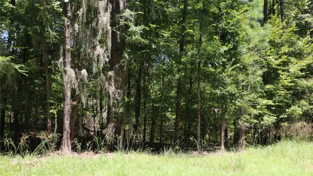 $16,000 | 28411 County Road 374 East, Broaddus, TX 75929