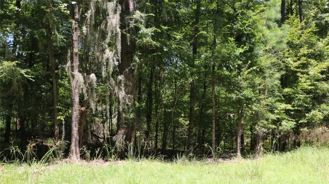 $16,000 | 28411 County Road 374 East, Broaddus, TX 75929