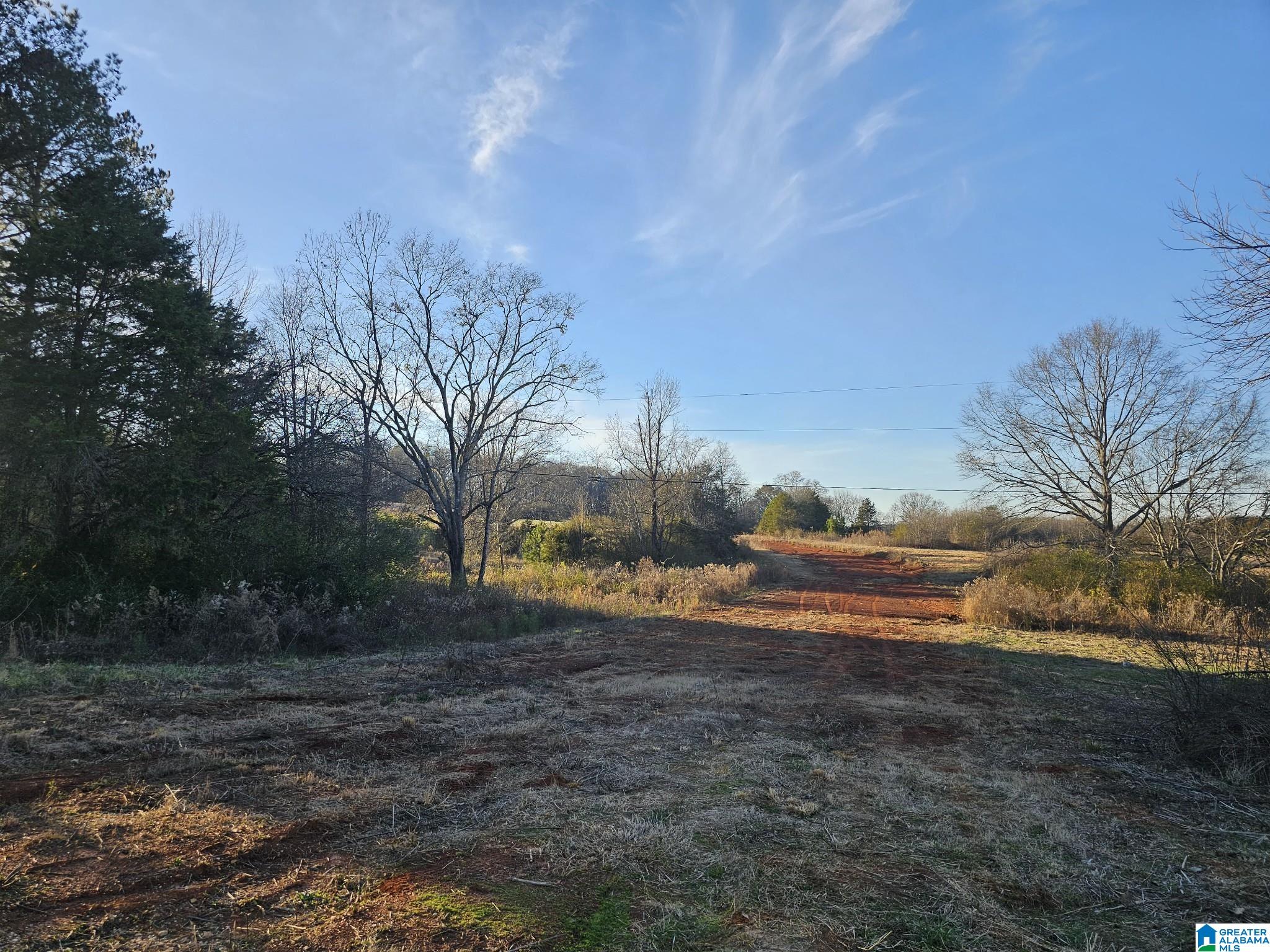 0 Peaceful Valley Road Eastaboga, AL 36260 - Photo 3 of 15