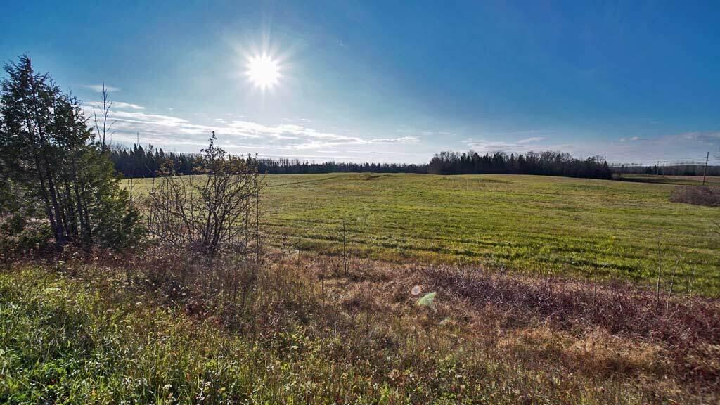 8 West Road Monticello, ME 04760 - Photo 14 of 43 agriculture-me-land-field