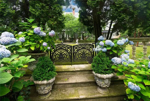 a view of a flower in a garden