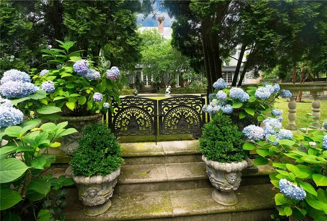 a view of a flower in a garden