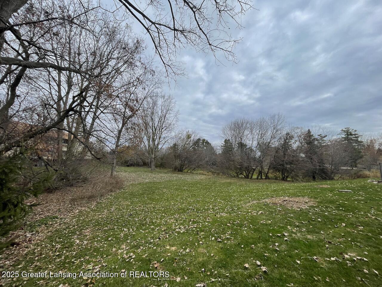 1734 Maple Ridge Road Haslett, MI 48840 - Photo 60 of 60 Yard view
