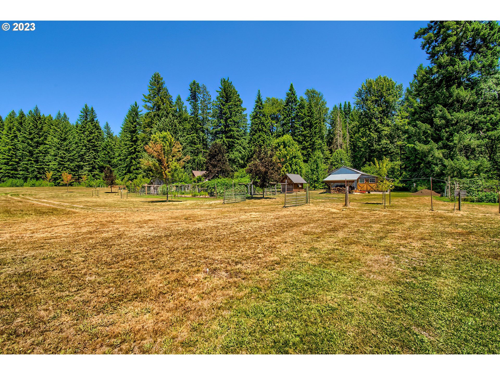 141 Cannavinna Road Carson, WA 98610 - Photo 39 of 48 Acreage