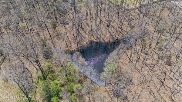 $475,000 | 8730 College Road, Olive Branch, MS 38654