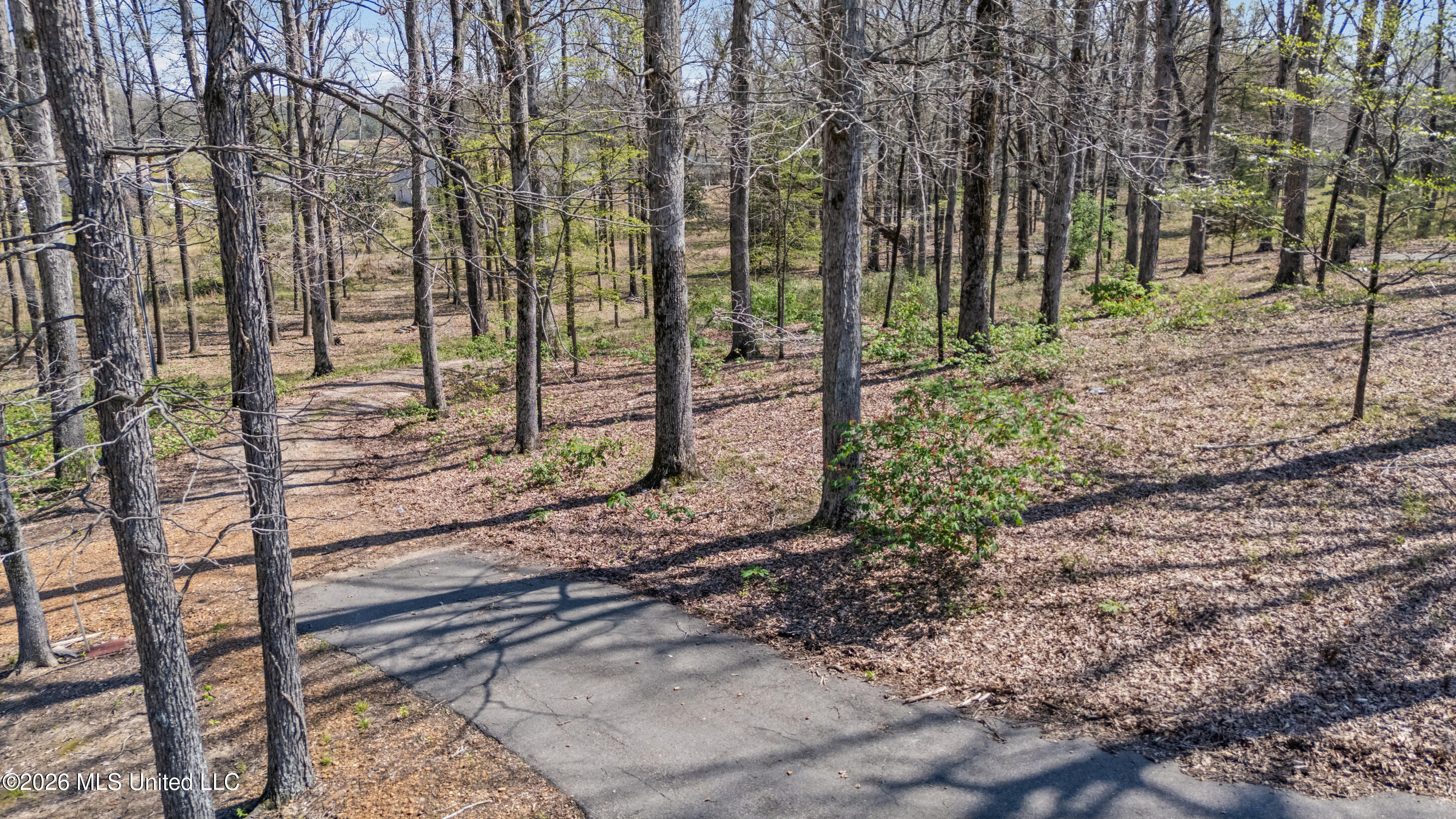 8730 College Road Olive Branch, MS 38654 - Photo 4 of 37 33_dji_20260325133113_0183_d_print