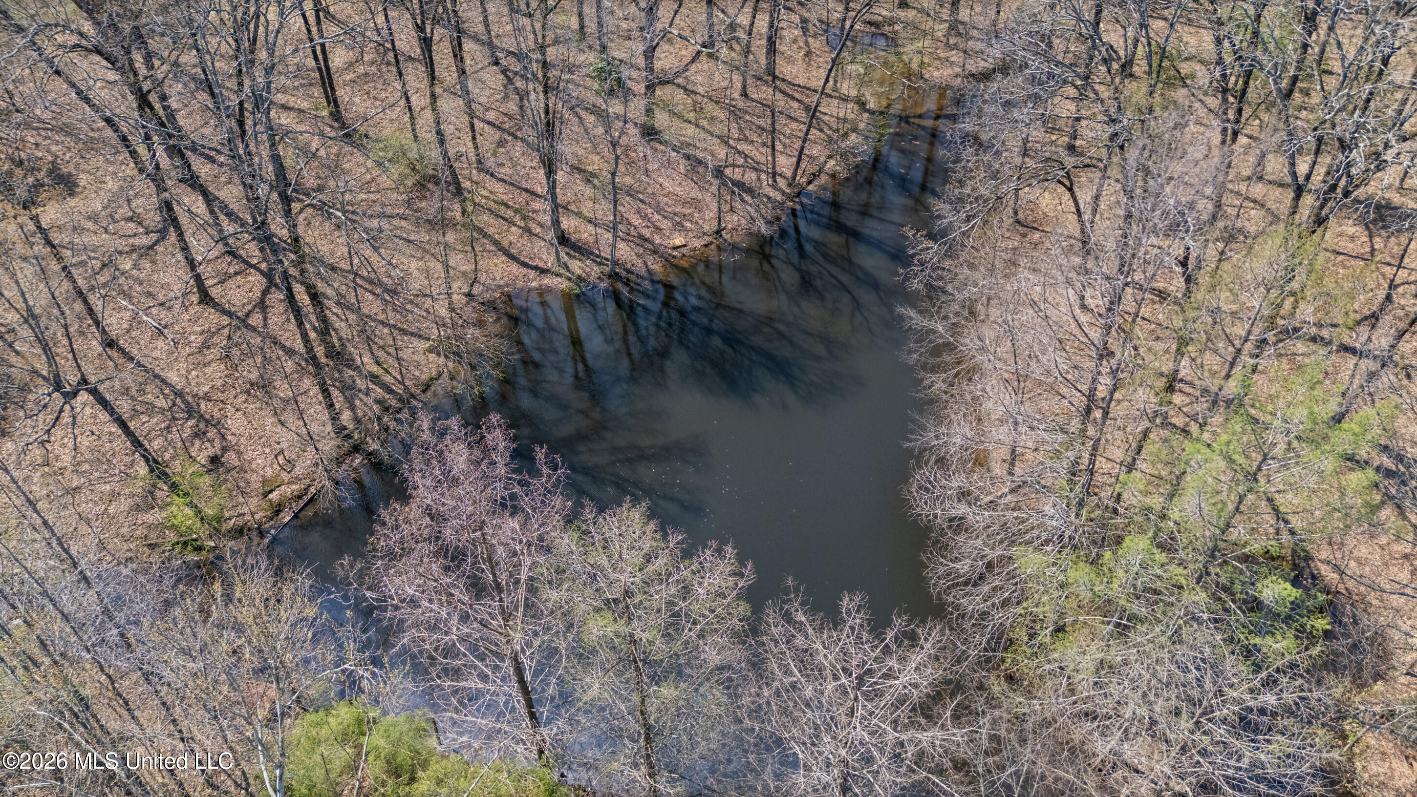 8730 College Road Olive Branch, MS 38654 - Photo 6 of 37 29_dji_20260325132415_0166_d_print
