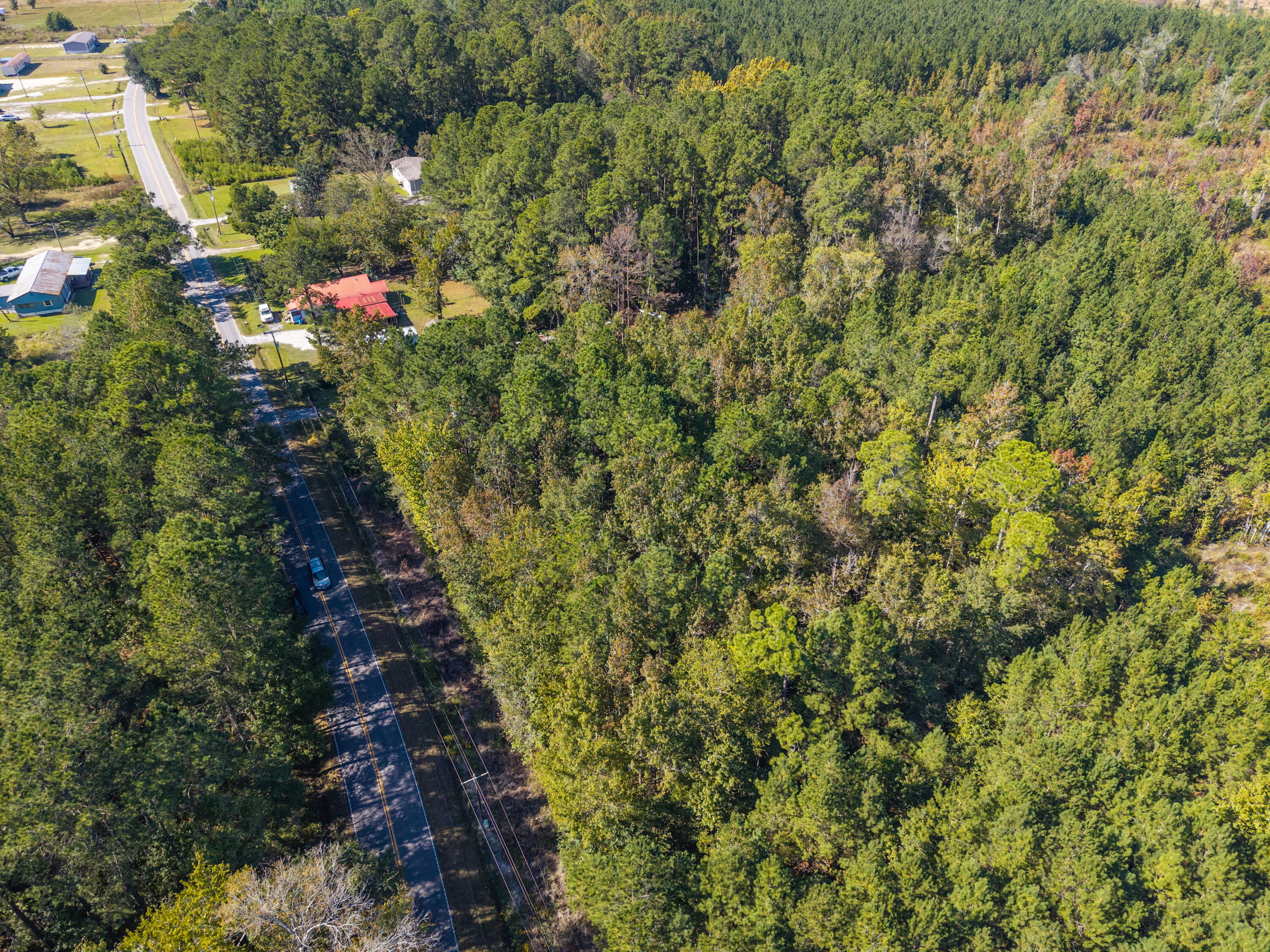 905 Peurifoy Road Walterboro, SC 29488 - Photo 16 of 29 Zyndicate3173