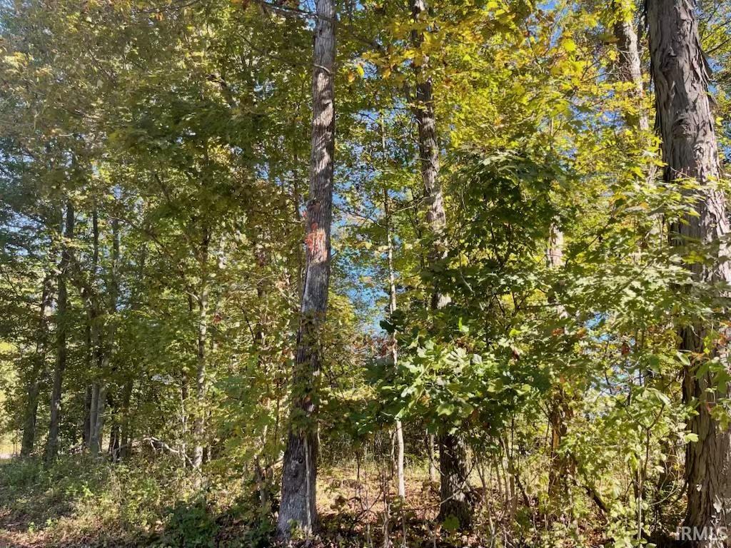 Tbd Tbd Ditney Ridge Road Bedford, IN 47421 - Photo 2 of 7