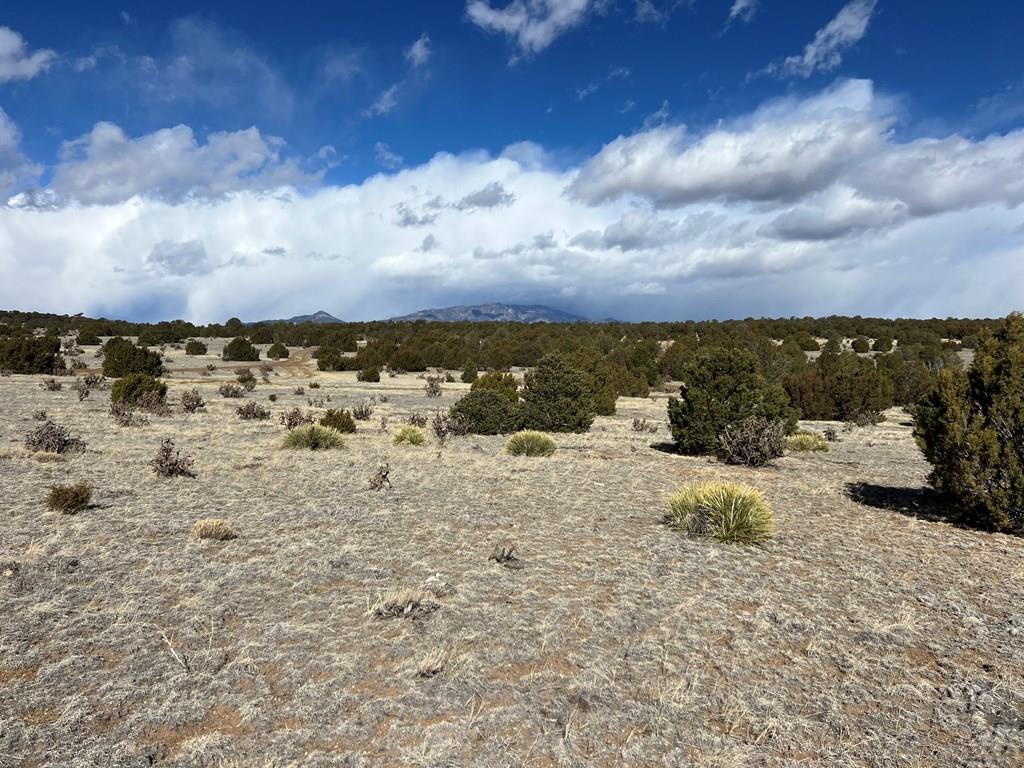 0 Twin Lakes Road Walsenburg, CO 81089 - Photo 4 of 13