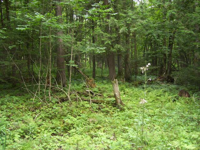 N7641 Miles Road Porterfield, WI 54159 - Photo 12 of 19 Gallery Image 12