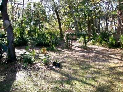 1020 Penman Road Neptune Beach, FL 32266 - Photo 3 of 36 Stocked Pond