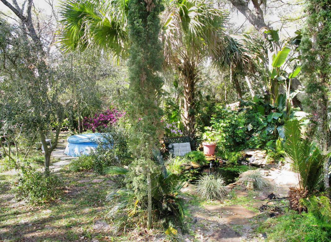 1020 Penman Road Neptune Beach, FL 32266 - Photo 34 of 36 Yard