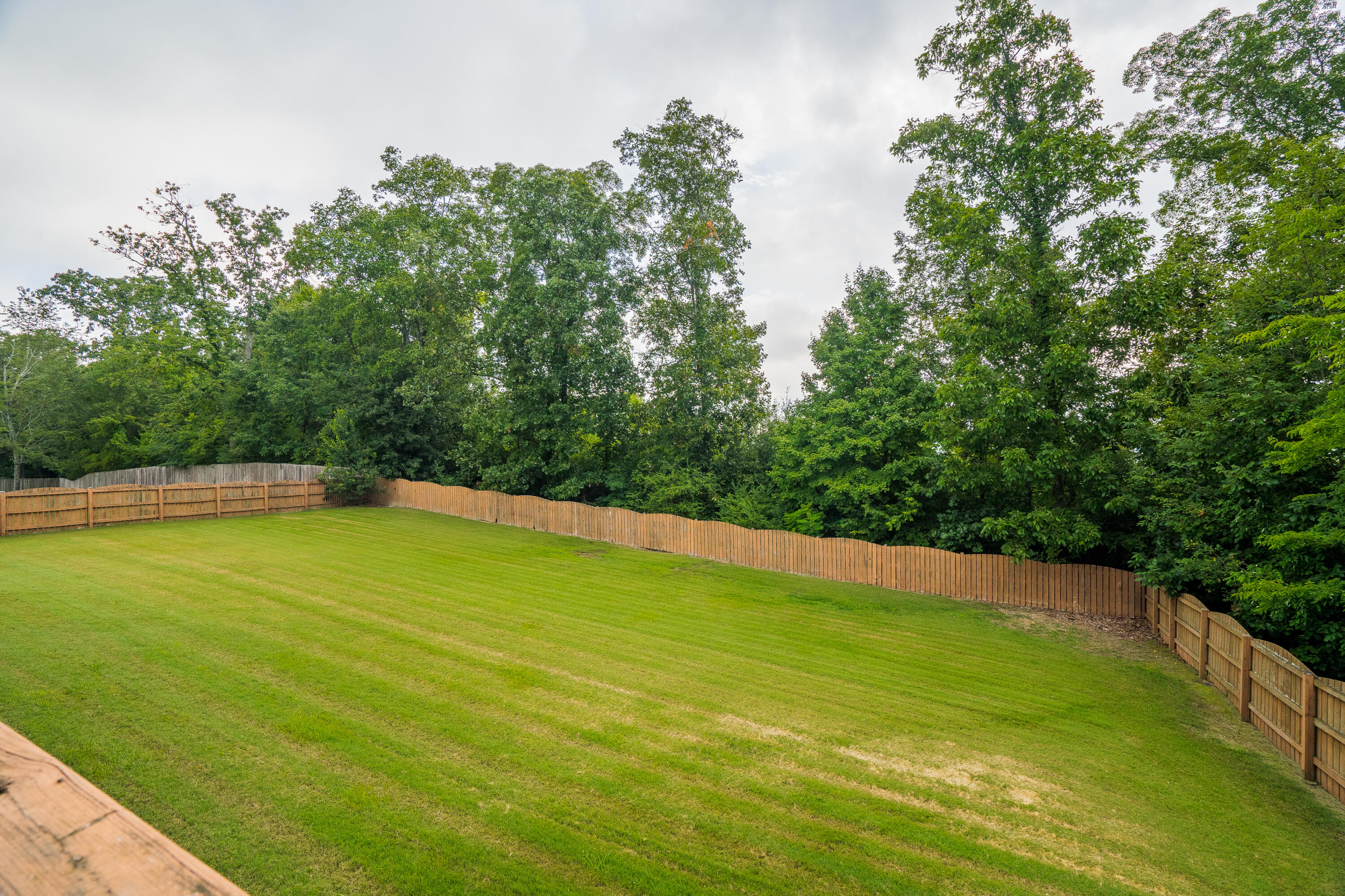 11 North Pointe Road Ringgold, GA 30736 - Photo 53 of 64 11 N Pointe Dr