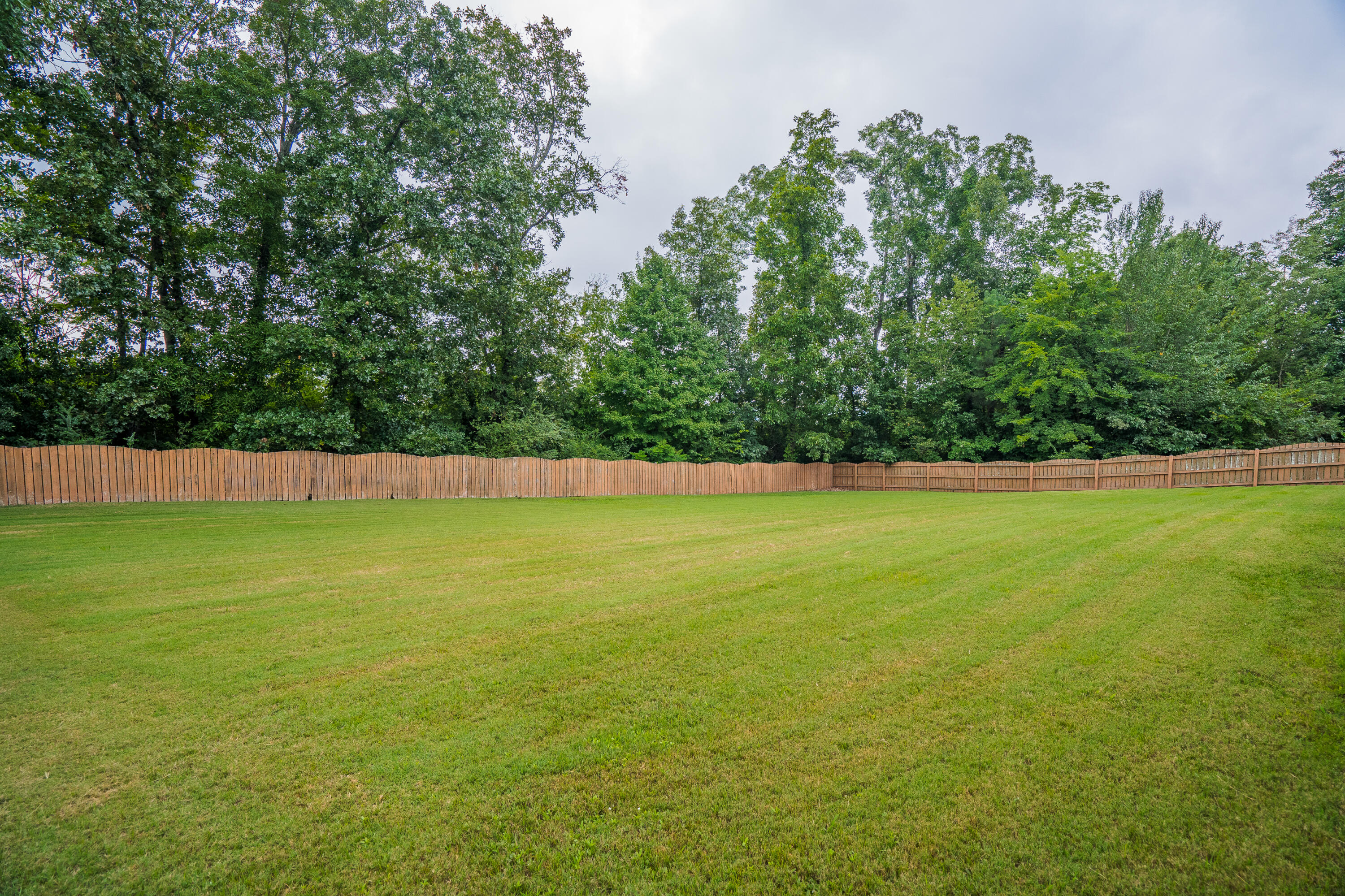 11 North Pointe Road Ringgold, GA 30736 - Photo 55 of 64 11 N Pointe Dr