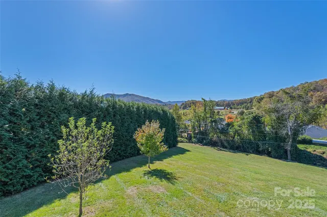 a view of a field with trees in the background