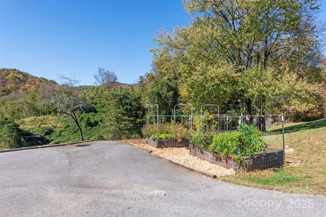 a view of a road with a garden