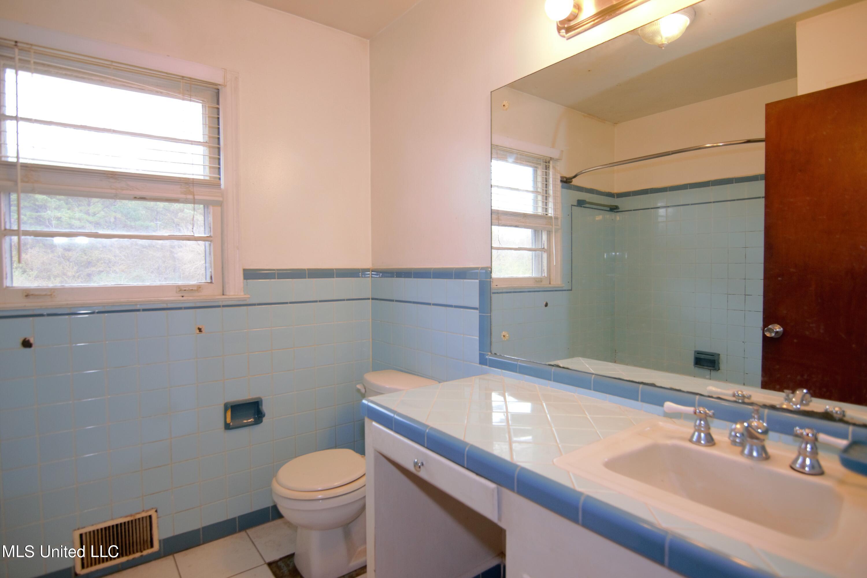 1019 Williams Road Byhalia, MS 38611 - Photo 19 of 33 Bathroom on main level