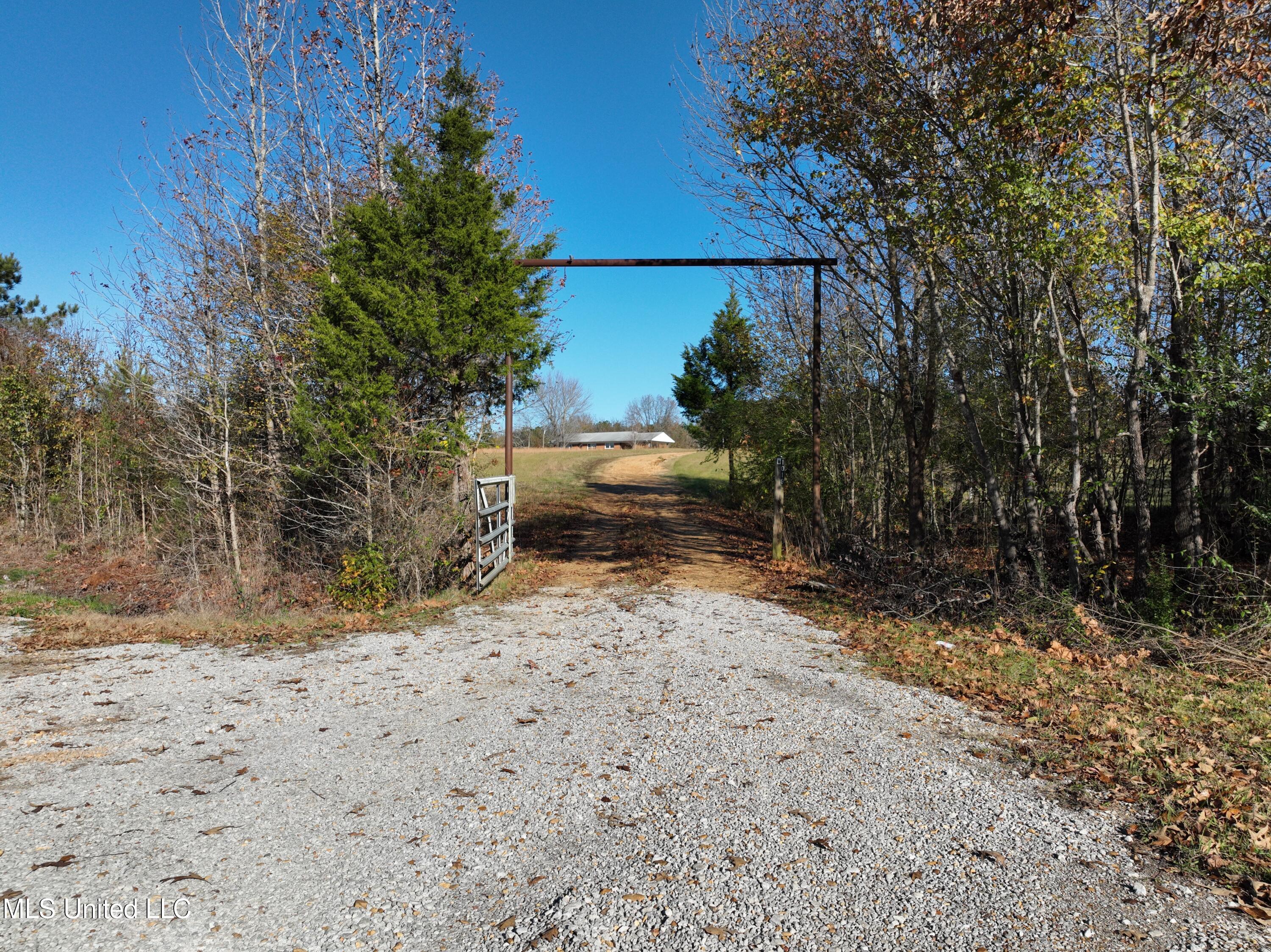 1019 Williams Road Byhalia, MS 38611 - Photo 2 of 33 Gate at gravel driveway