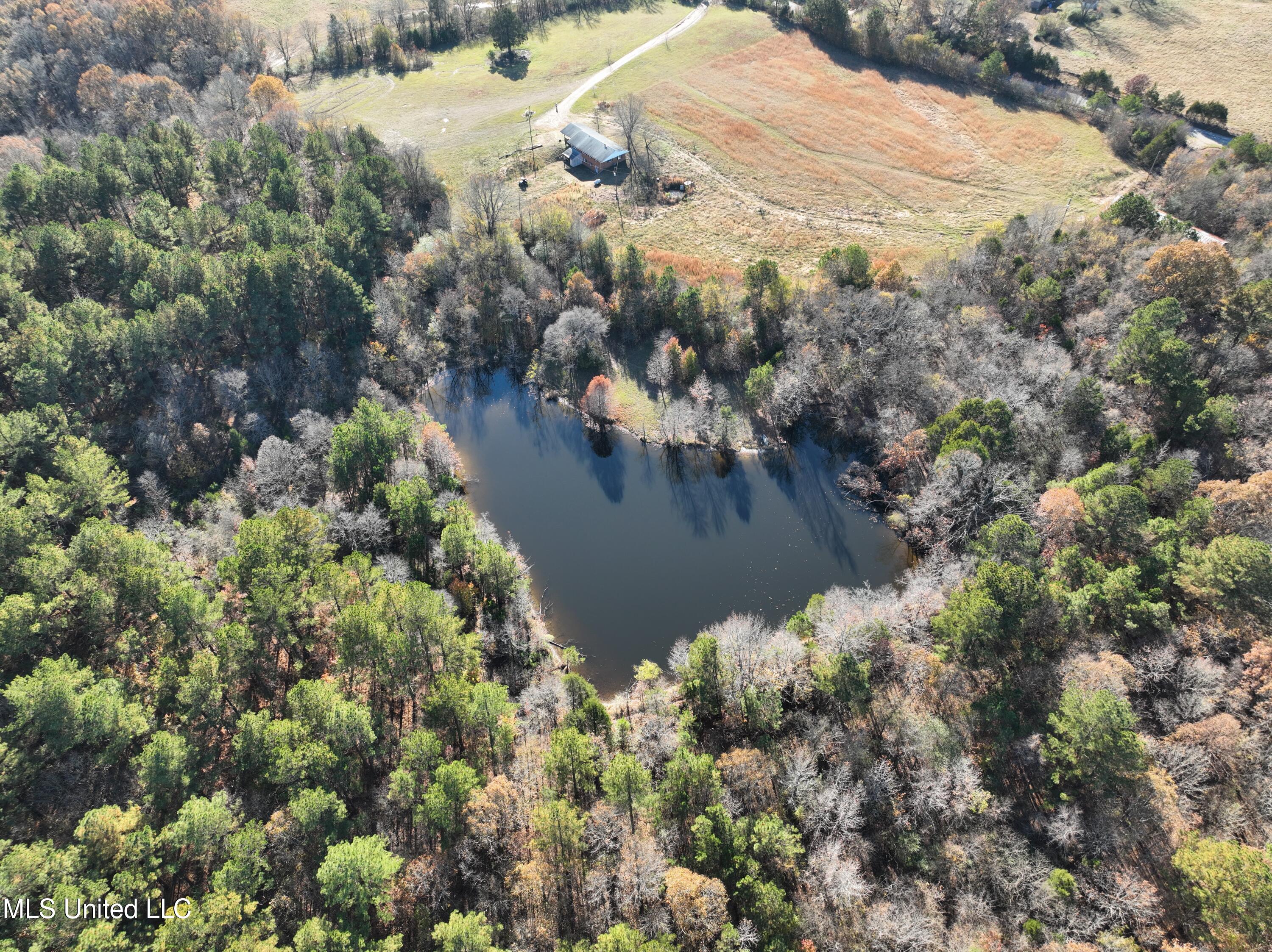 1019 Williams Road Byhalia, MS 38611 - Photo 6 of 33 Pond