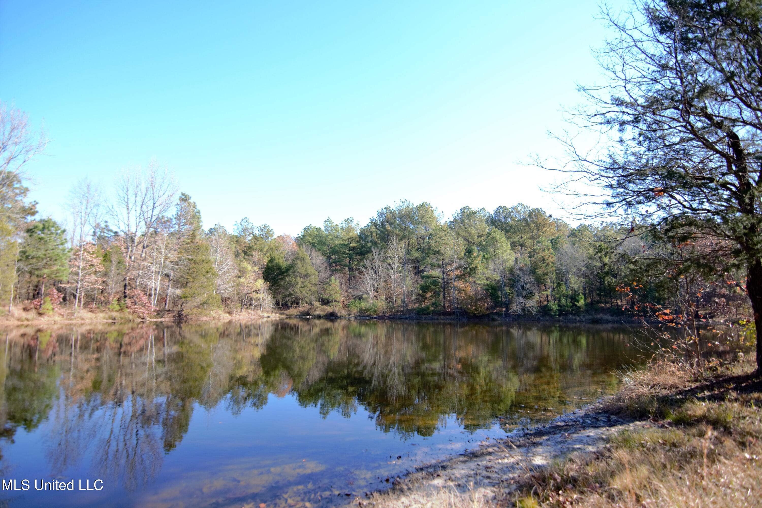 1019 Williams Road Byhalia, MS 38611 - Photo 9 of 33 Pond