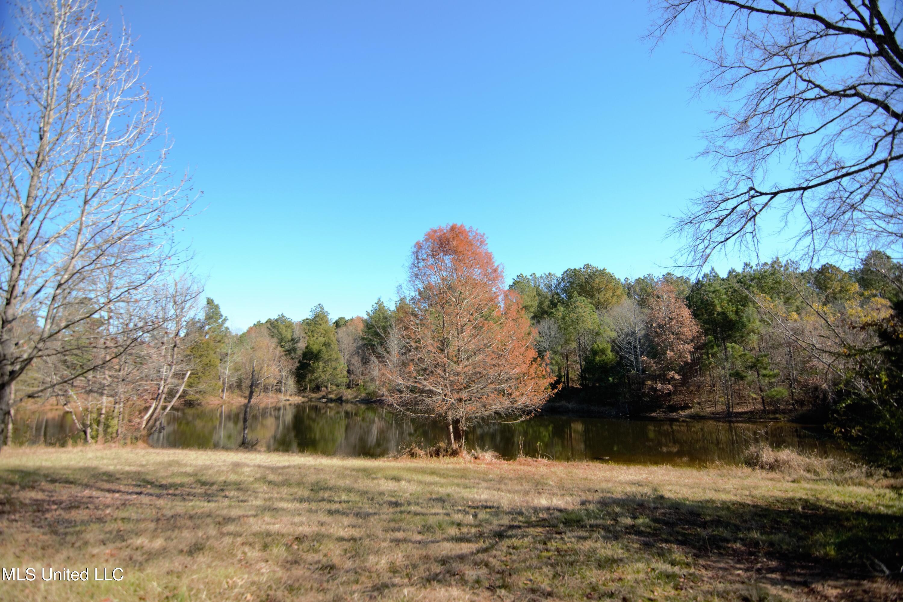 1019 Williams Road Byhalia, MS 38611 - Photo 10 of 33 Pond