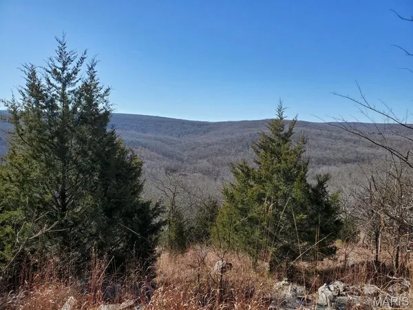 $189,000 | 0 County Road 101, Ironton, MO 63650