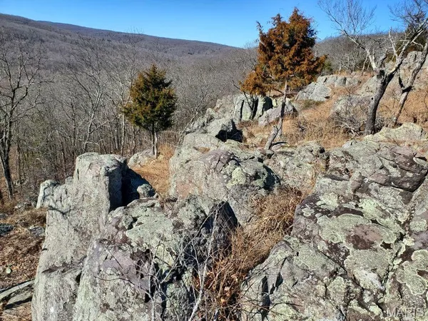 $189,000 | 0 County Road 101, Ironton, MO 63650