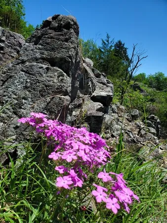 $189,000 | 0 County Road 101, Ironton, MO 63650