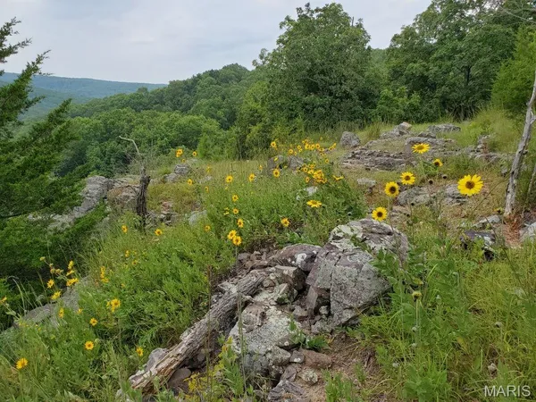 $189,000 | 0 County Road 101, Ironton, MO 63650