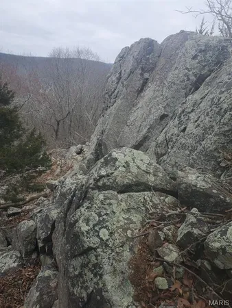 $189,000 | 0 County Road 101, Ironton, MO 63650