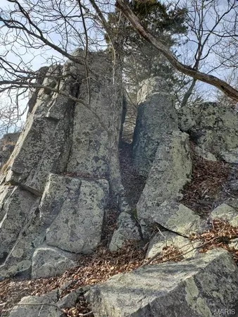 $189,000 | 0 County Road 101, Ironton, MO 63650