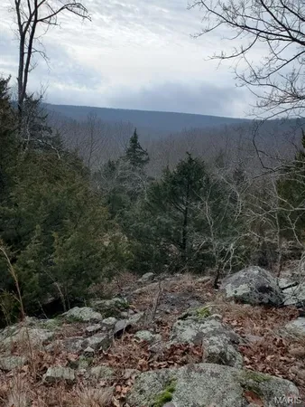 $189,000 | 0 County Road 101, Ironton, MO 63650