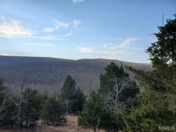 $189,000 | 0 County Road 101, Ironton, MO 63650