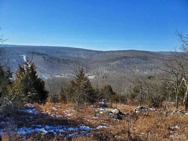 $189,000 | 0 County Road 101, Ironton, MO 63650