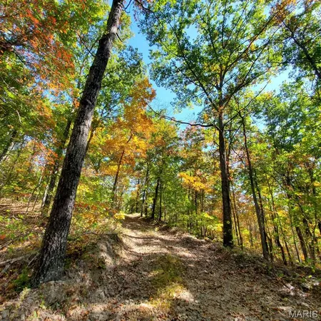 $189,000 | 0 County Road 101, Ironton, MO 63650