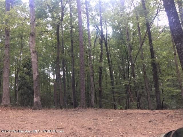 457 Broadway Road Winfield, AL 35594 - Photo 14 of 16 Gallery Image 14