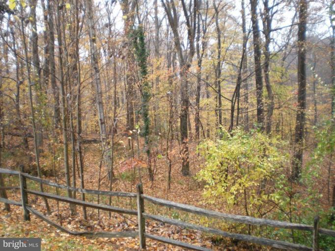 7920 Laural Valley Way Springfield, VA 22153 - Photo 20 of 23 Wooded View / Acreage