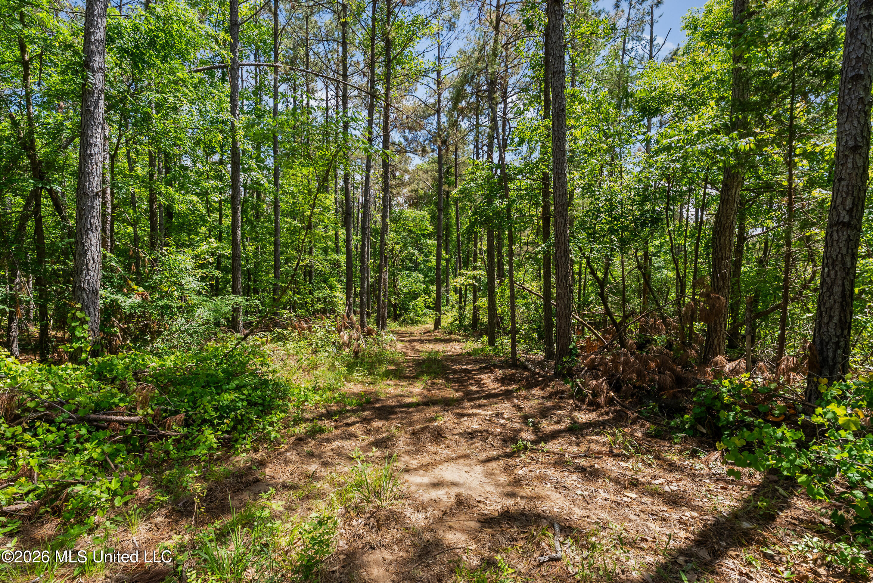 202 Powell Chapel Road Holly Springs, MS 38635 - Photo 24 of 59 dsc06360_print