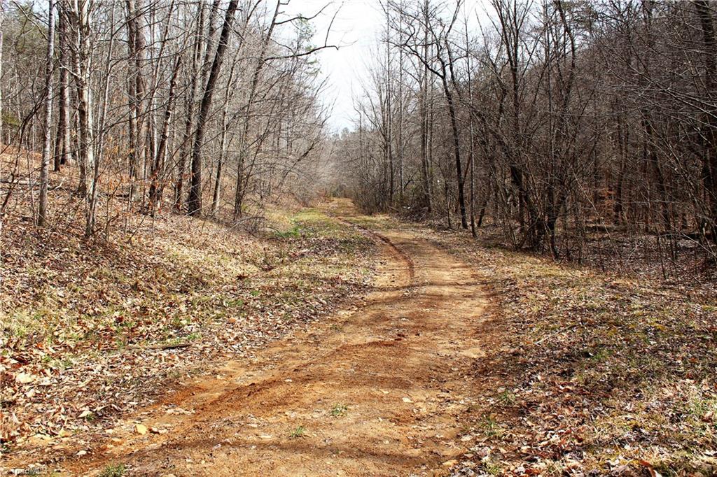 2045 Ray Loop Road Westfield, NC 27053 - Photo 25 of 30 Gallery Image 25
