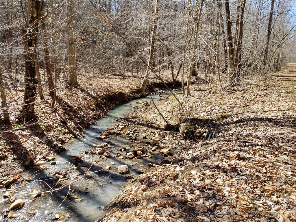 2045 Ray Loop Road Westfield, NC 27053 - Photo 26 of 30 Gallery Image 26